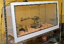 Hoosier-made Storage Container Enclosure