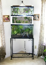 Terrarium Extension