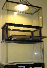 Terrarium Extension