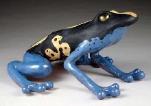 Poison Dart Frog