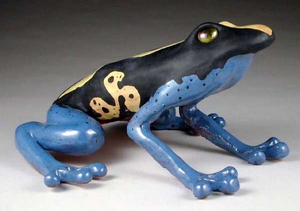 Poison Dart Frog
