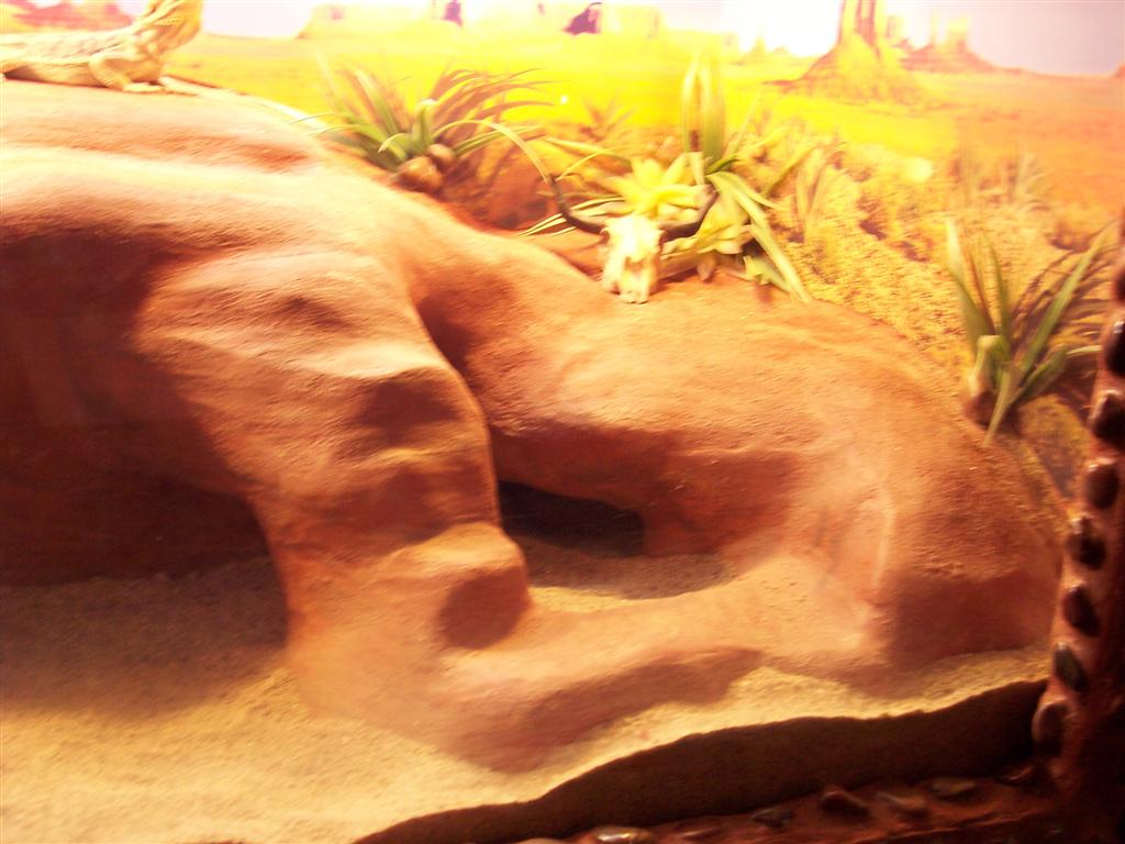 Penelope's Cage (Right Side)