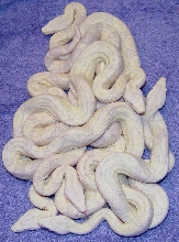 Snow Boa Group