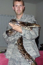 Retic, Kratos