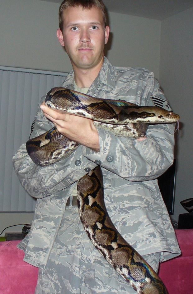 Retic, Kratos