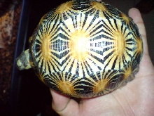 top view