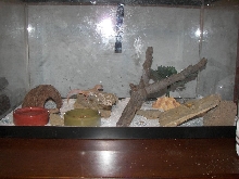 my new babys cage.. didnt think it was safe to put him in with the others y