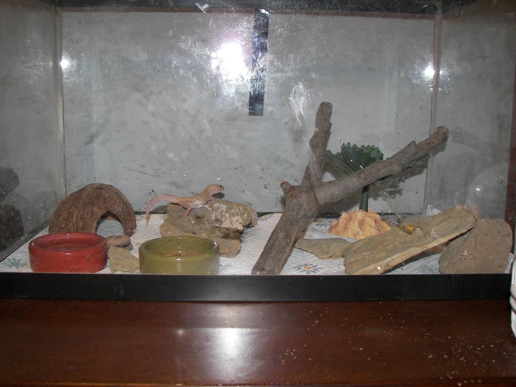 my new babys cage.. didnt think it was safe to put him in with the others y