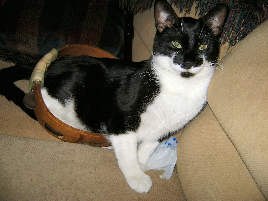 Mr. Boots