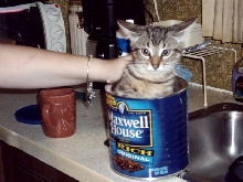 Hoahka Enjoying Maxwell
