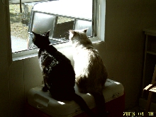 Riskit & Bizzy Boy