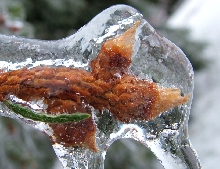 ice storm
