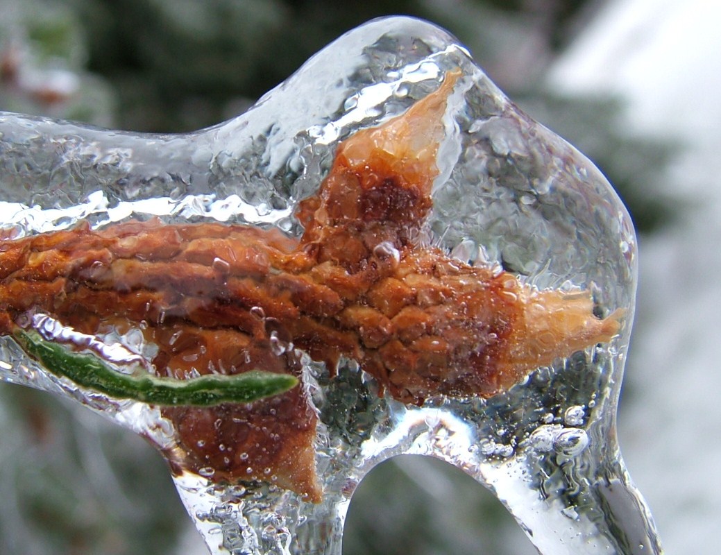 ice storm