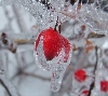 ice storm
