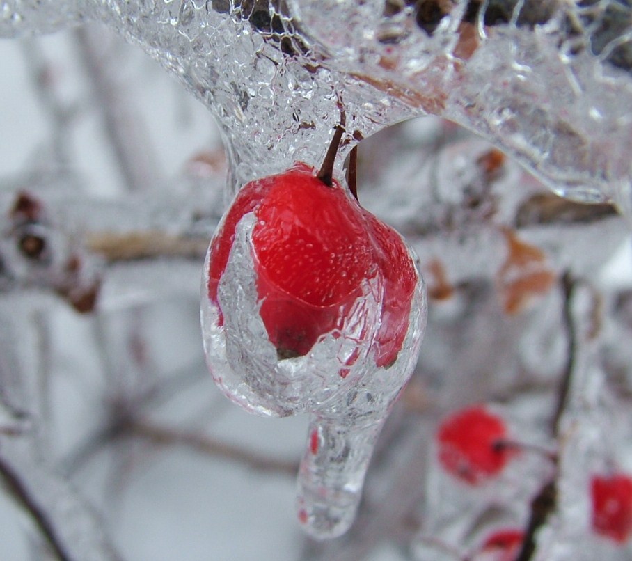 ice storm