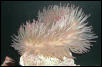 Saltwater Photos