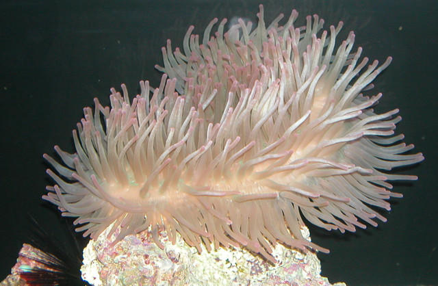 Saltwater Photos