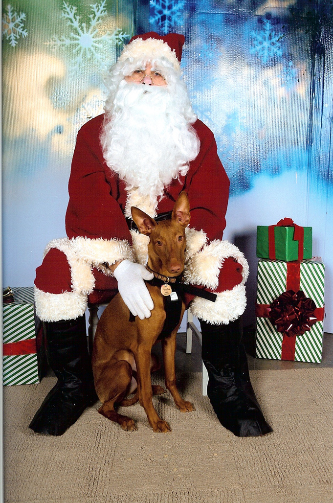 Sitting with Santa