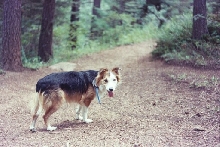 Logan on a hike