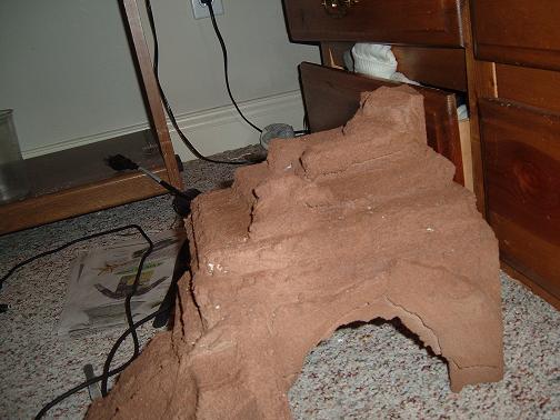 the new gecko house/rock structure