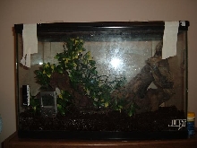 gex's cage