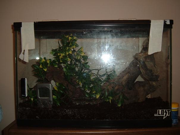 gex's cage