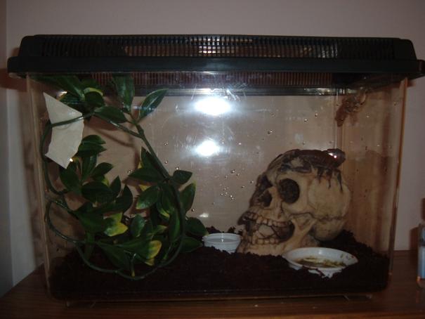 harly's cage