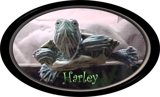 Harley, RES