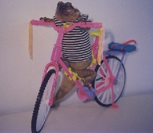 Chuckcycle