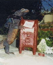 Letter to Santa