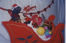 Sleigh bells ring!