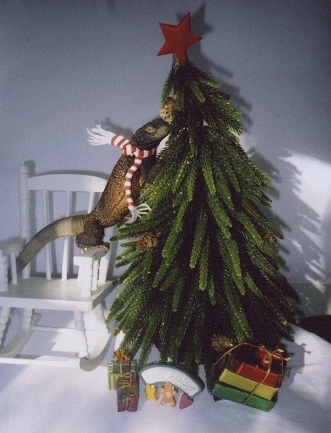 decorating the Tree