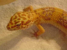 baby2