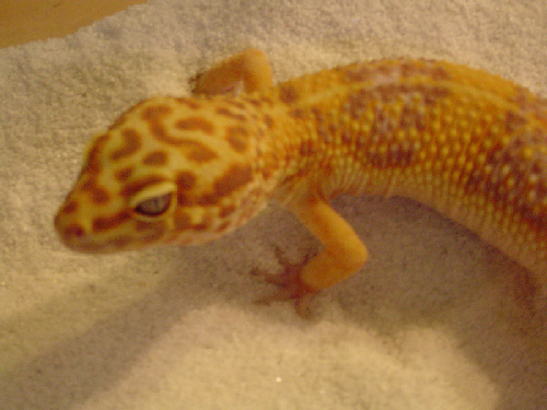 baby2