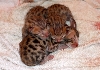 First Day