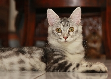 Grettel 6 Months