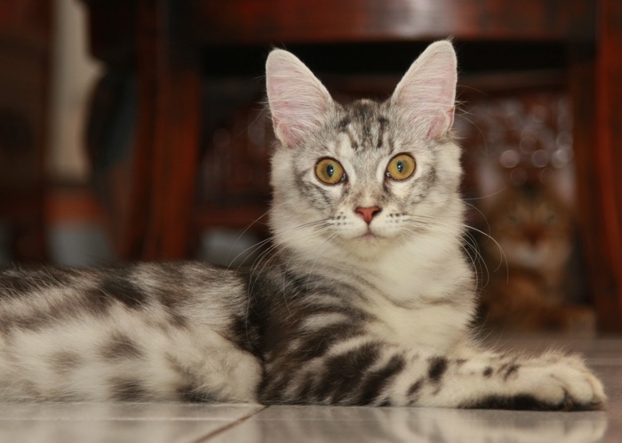 Grettel 6 Months