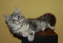 Grettel 3 Months