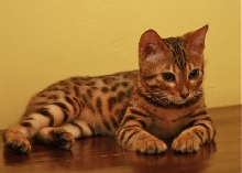 Dania Cute & friendly