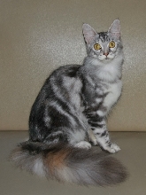 Grettel 7 Months