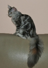 Grettel 7 Months a