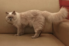 Jerry Kun a