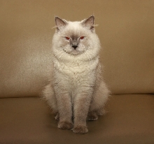 Jerry Kun