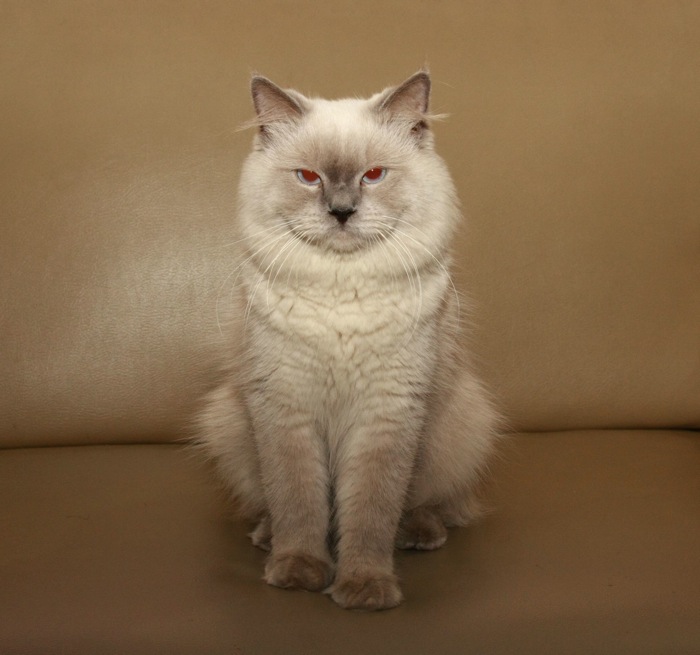 Jerry Kun