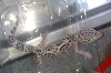 my new leopard...