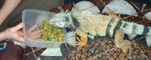 mmmm snack