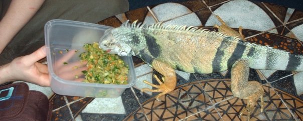 mmmm snack