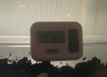 Temp/Humidity of air in homemade incubator at 7AM