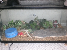 Lego cruizing on new substrate