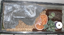 Artificial rock cut